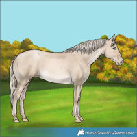 Horse Color:Chocolate Palomino Pearl Dun