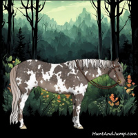 Horse Color:White Spotted Silver Black