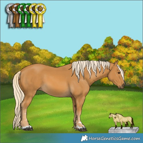 Horse Color:Palomino 