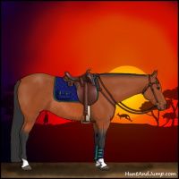 Horse Color:Bay Rabicano 