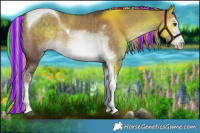 Horse Color:Painted Chocolate Palomino Dun Sabino Tobiano Rabicano Brindle