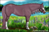 Horse Color:White Spotted Liver Red Dun Rabicano 