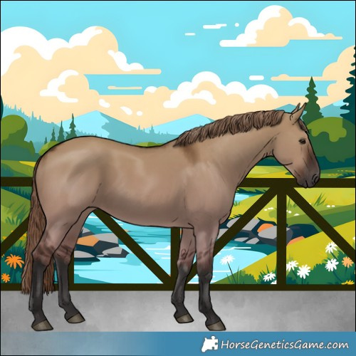 Horse Color:White Spotted Liver Red Dun Rabicano 