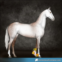 Horse Color:Gray Silver Black Pearl Tobiano 