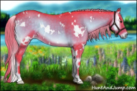 Horse Color:Watercolor White Spotted Chocolate Palomino Roan Onyx 