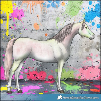 Horse Color:Watercolor Chocolate Palomino Roan Onyx Sabino 