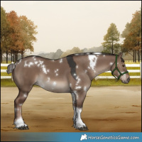 Horse Color:White Spotted Liver Red Dun Tobiano 
