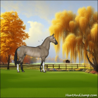 Horse Color:Gray Brown Dun Rabicano 
