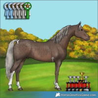 Horse Color:Silver Black Tobiano Rabicano