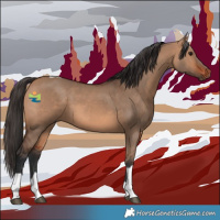 Horse Color:Bay Dun Tobiano 