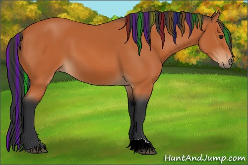 Horse Color:Painted Bay 