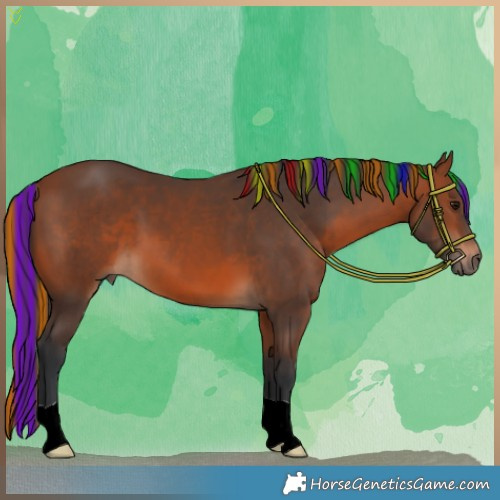 Horse Color:Painted Bay 