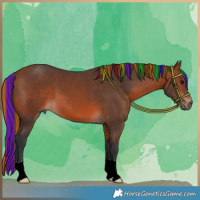 Horse Color:Painted Bay 
