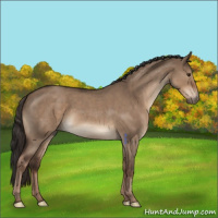 Horse Color:Liver Red Dun Roan 