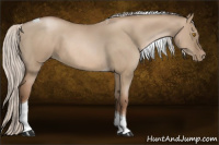 Horse Color:Silver Grullo Pearl Tobiano 