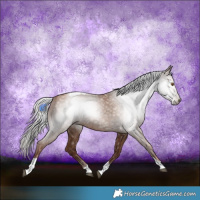 Horse Color:Gray Silver Black Pearl Tobiano 