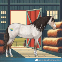 Horse Color:Amber Champagne Roan Dun 