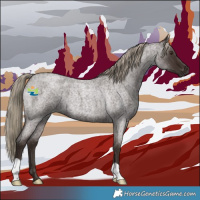 Horse Color:Liver Red Roan 