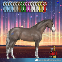 Horse Color:White Spotted Silver Black 