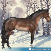Horse Color:Brown 