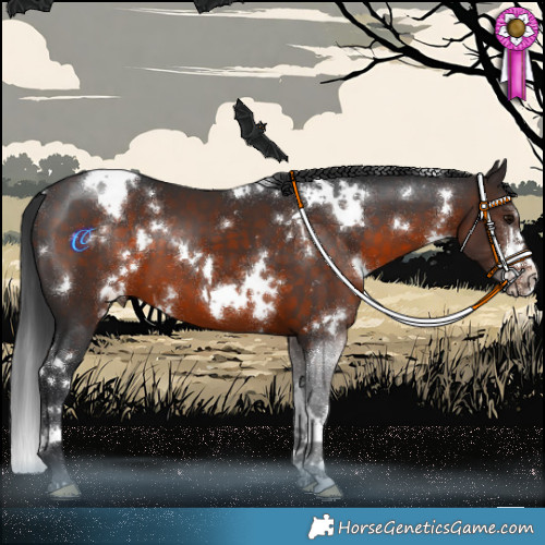 Horse Color:White Spotted Brown 