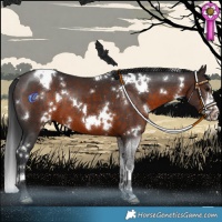 Horse Color:White Spotted Brown 