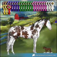 Horse Color:White Spotted Liver Chestnut Splash 