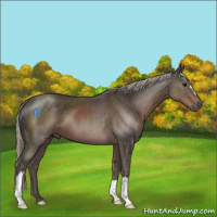 Horse Color:Silver Black