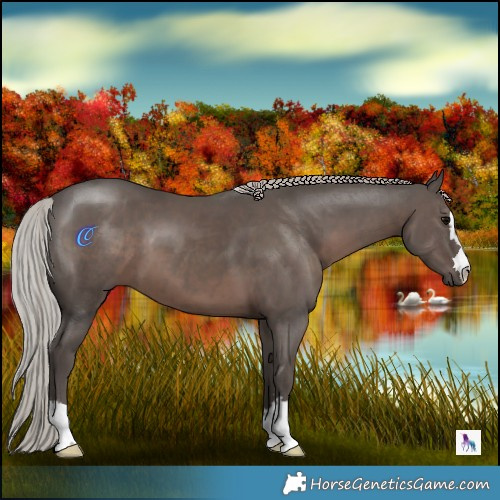 Horse Color:Silver Black 