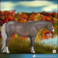 Horse Color:Silver Black 