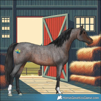 Horse Color:Brown Roan 
