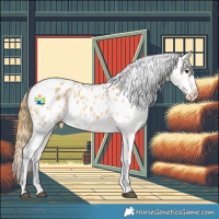Horse Color:White Spotted Buckskin Dun Appaloosa 
