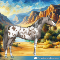 Horse Color:White Spotted Liver Red Dun Appaloosa 