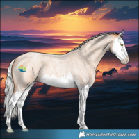 Horse Color:Silver Amber Champagne Roan Splash 