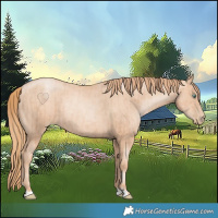 Horse Color:Gold Champagne Pearl Rabicano  and Gold Champagne Pearl Rabicano 