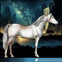 Horse Color:Gray Liver Red Dun Sabino Splash Tobiano  and Gray White Spotted Liver Red Dun Tobiano 