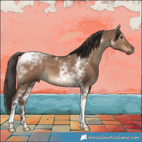 Horse Color:Liver Red Dun Tobiano