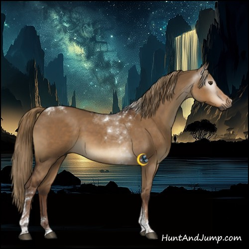 Horse Color:Gray Liver Red Dun Tobiano 