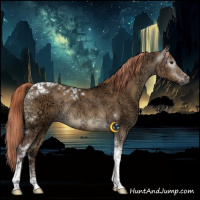 Horse Color:Gray Liver Red Dun Ice Tobiano Rabicano