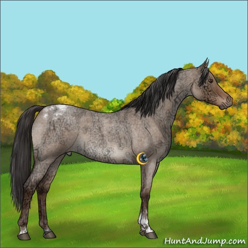 Horse Color:Liver Red Dun Ice Roan Tobiano Rabicano 