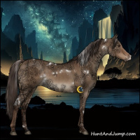 Horse Color:White Spotted Liver Red Dun Ice Rabicano 