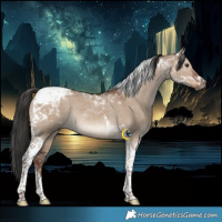 Horse Color:Liver Red Dun Tobiano Rabicano 