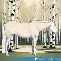 Horse Color:Cremello Splash  and Cremello Splash 