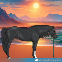 Horse Color:Black 