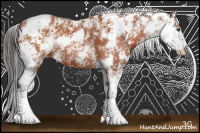 Horse Color:Brown Sabino 