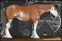 Horse Color:Bay Sabino 