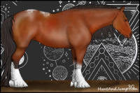 Horse Color:Brown Sabino Tobiano