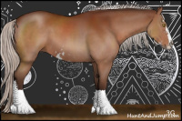 Horse Color:Silver Bay Sabino 