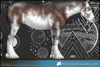 Horse Color:White Spotted Brown Rabicano 