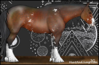 Horse Color:Brown Sabino Rabicano 